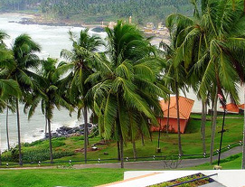 Kovalam South Tour Packages
